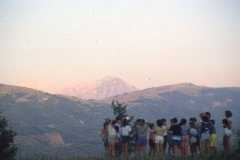 scai-1985-26
